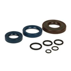 Kit retenes y tóricas viton Vespa Primavera/Super/SL